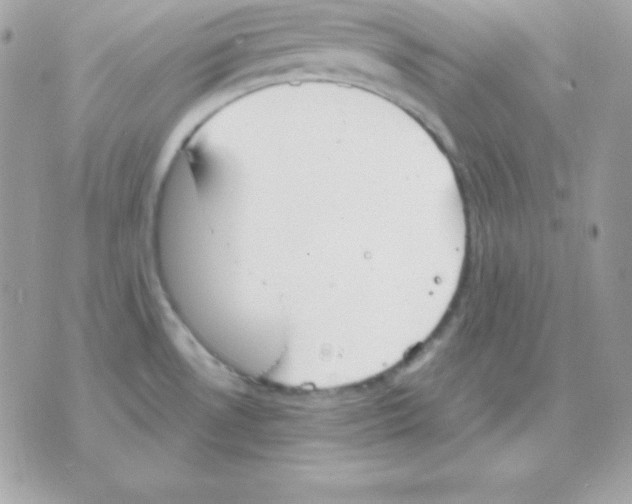 X0000070361530200607072050