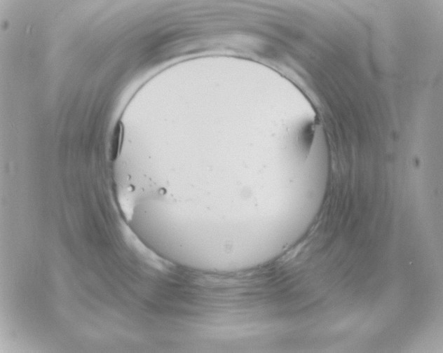 X0000070361532200607072050