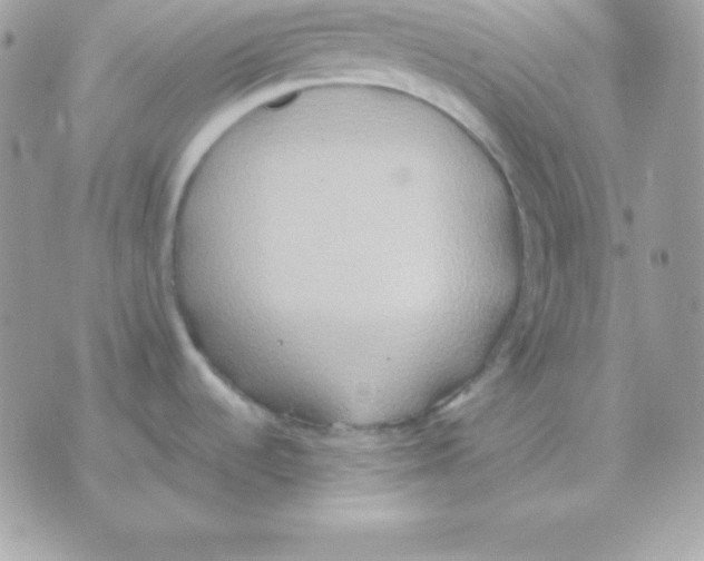 X0000070361536200607072050