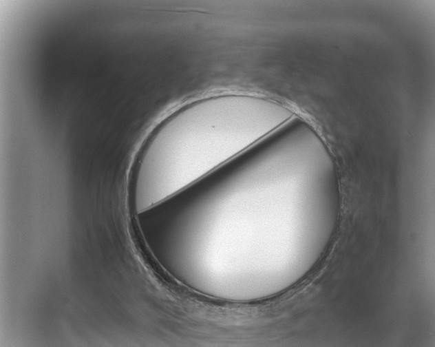 X0000070370008200606090837