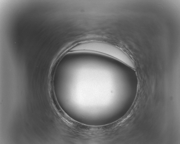 X0000070370101200606090836