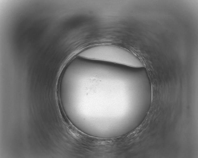 X0000070370147200606090834