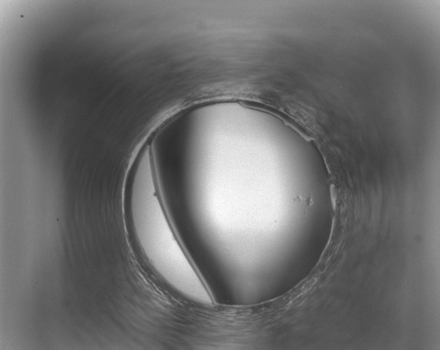 X0000070370148200606090834