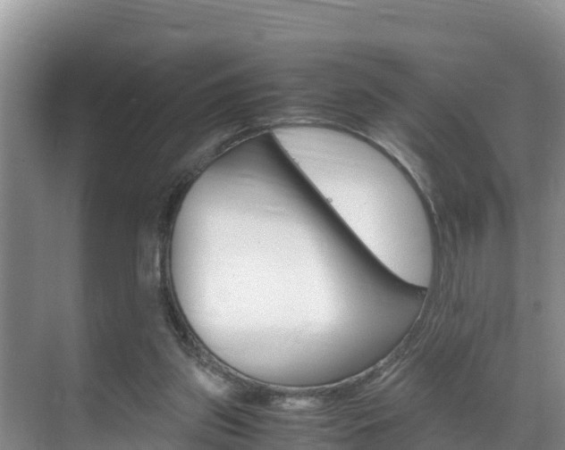 X0000070370157200606090834