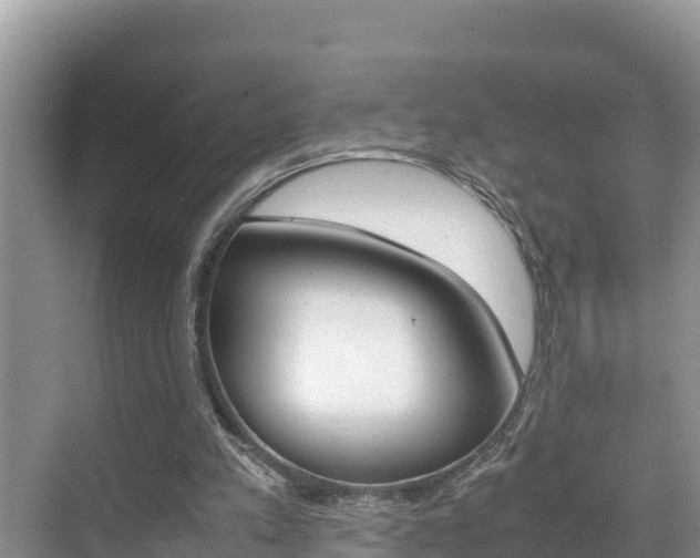 X0000070370197200606090834