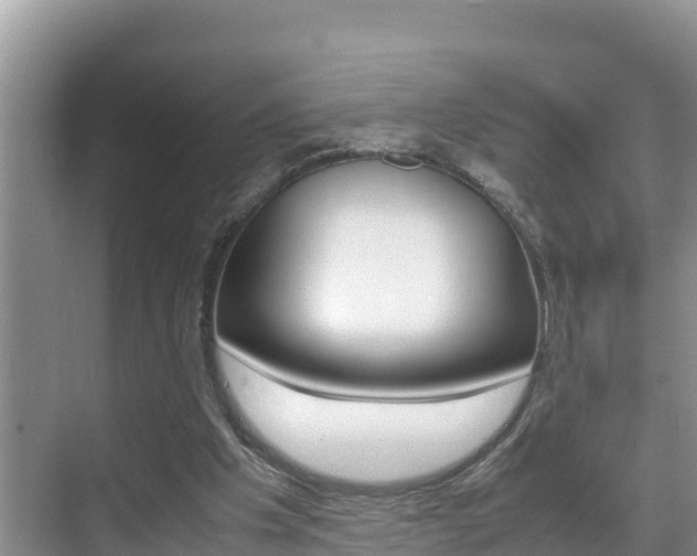 X0000070370201200606090834