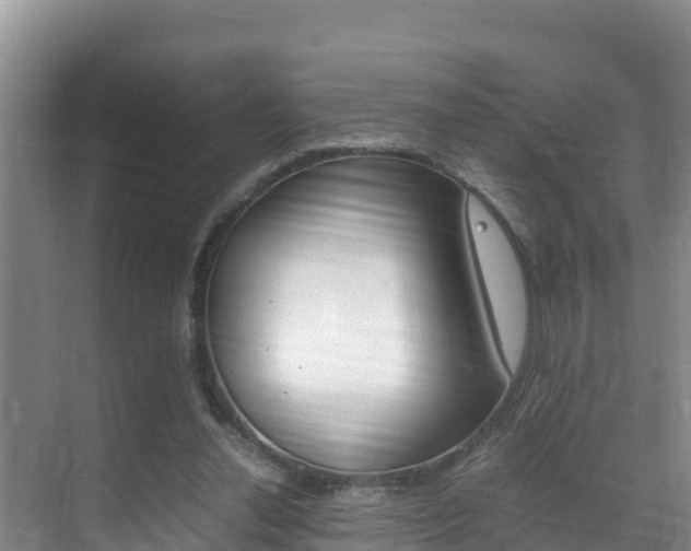 X0000070370252200606090833