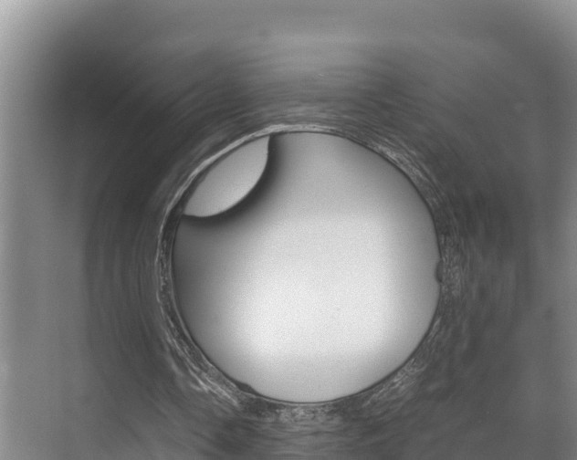 X0000070370338200606090831