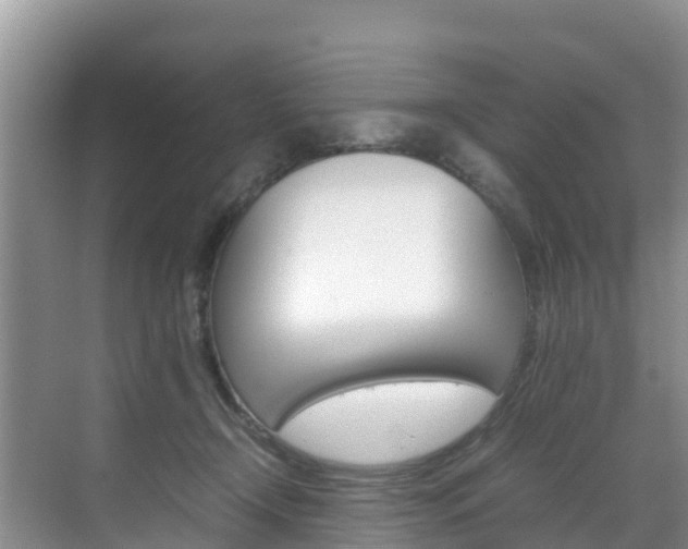 X0000070370366200606090832
