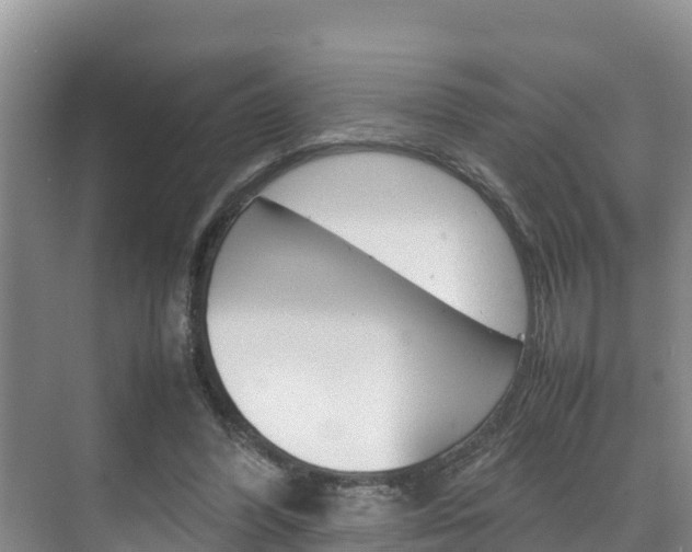 X0000070370396200606090831