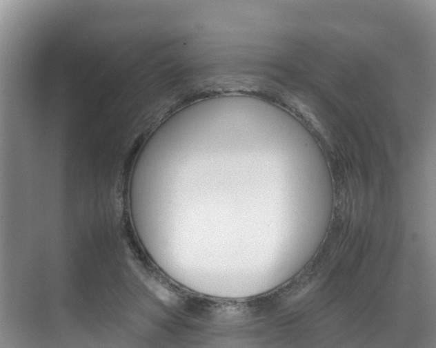 X0000070370402200606090831