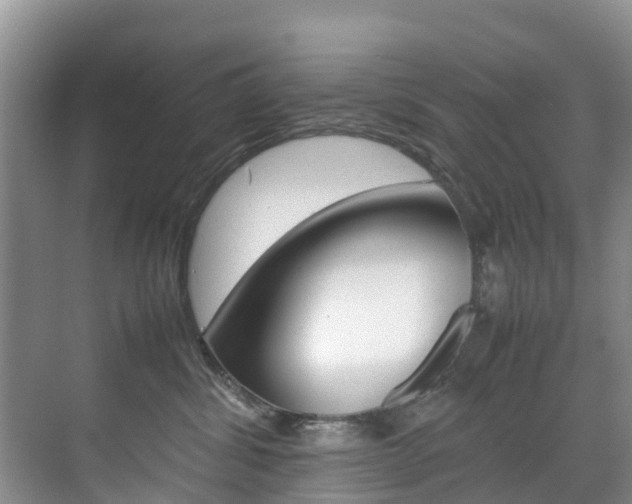X0000070370428200606090830