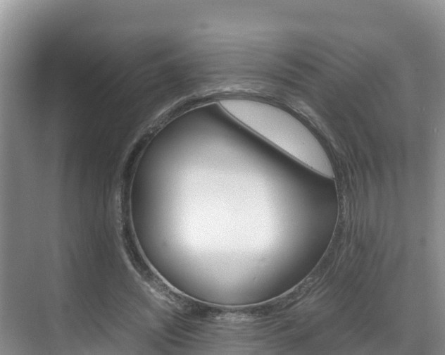 X0000070370444200606090830