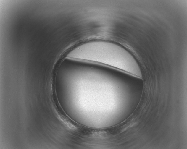 X0000070370446200606090830