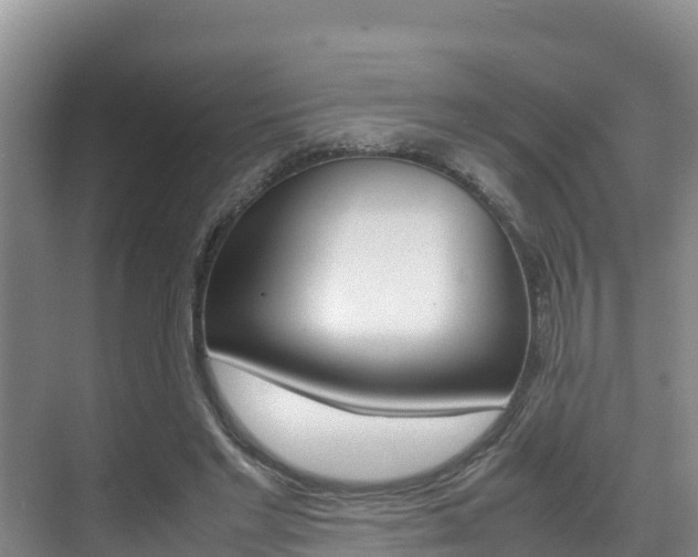 X0000070370493200606090829