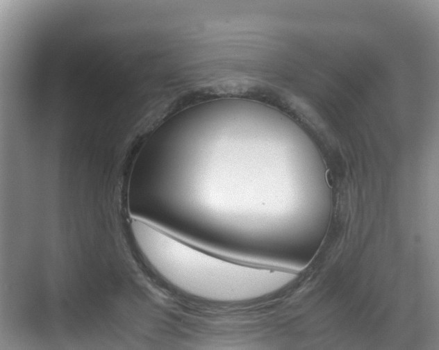 X0000070370501200606090829