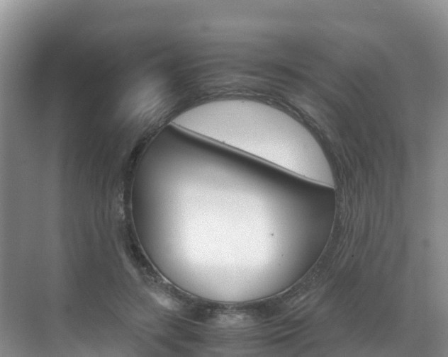 X0000070370547200606090828