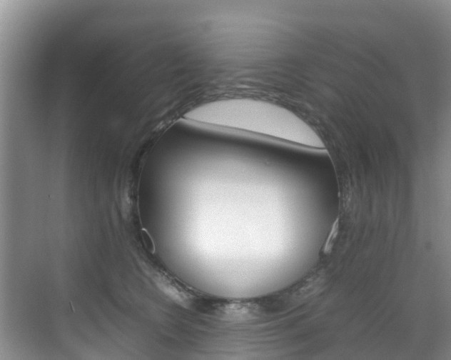 X0000070370566200606090828