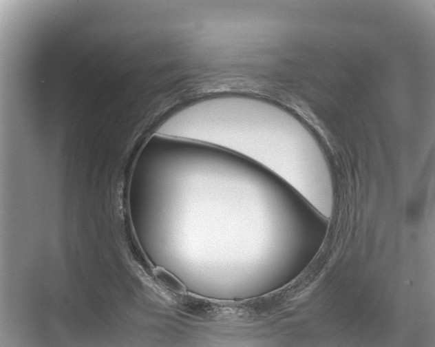 X0000070370585200606090828