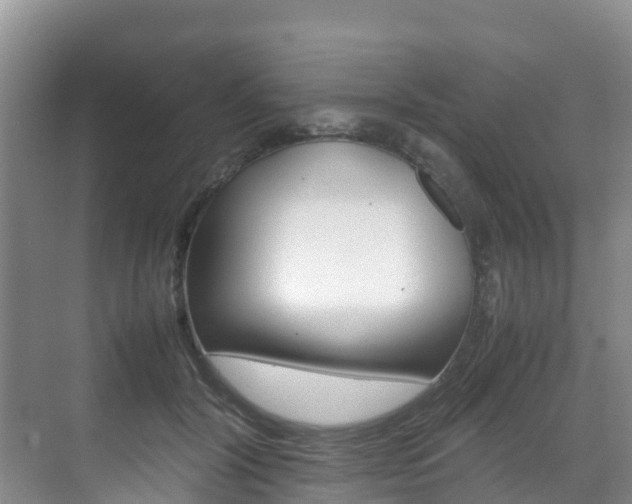 X0000070370604200606090827