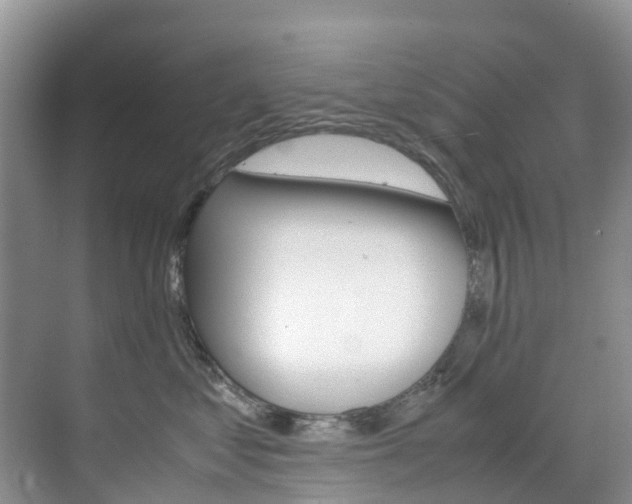 X0000070370621200606090827