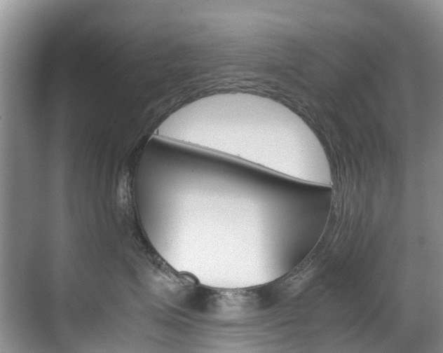 X0000070370623200606090827