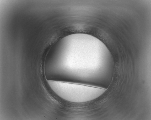 X0000070370642200606090827