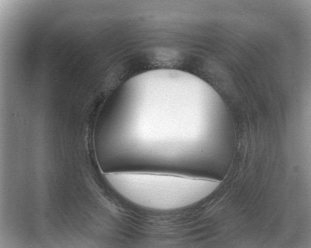 X0000070370647200606090827