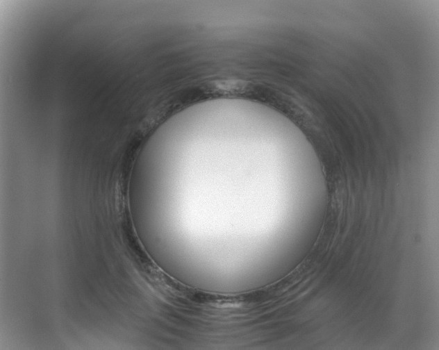 X0000070370651200606090827