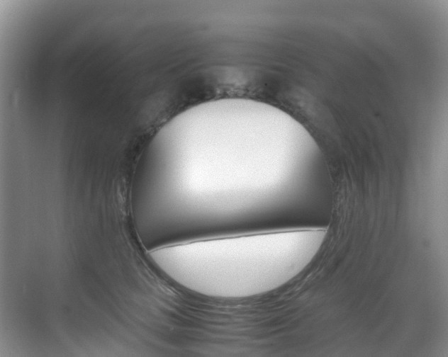 X0000070370661200606090827
