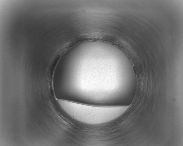 X0000070370692200606090826