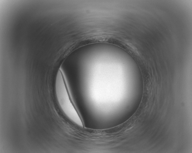 X0000070370693200606090826