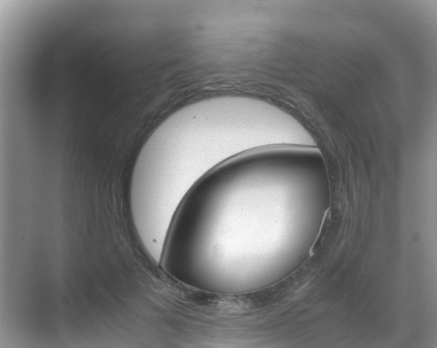 X0000070370697200606090826