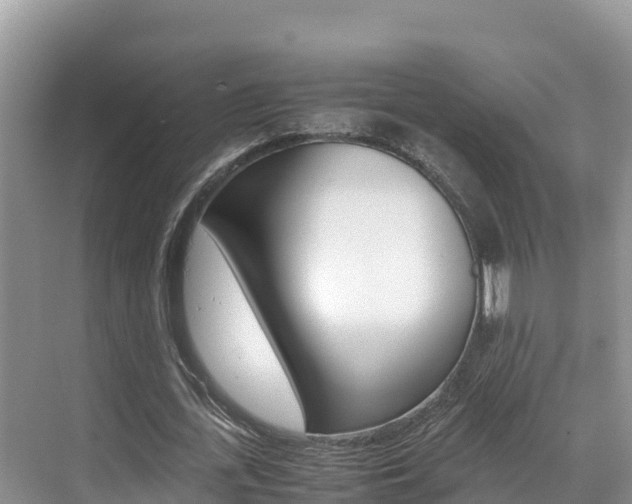 X0000070370723200606090825
