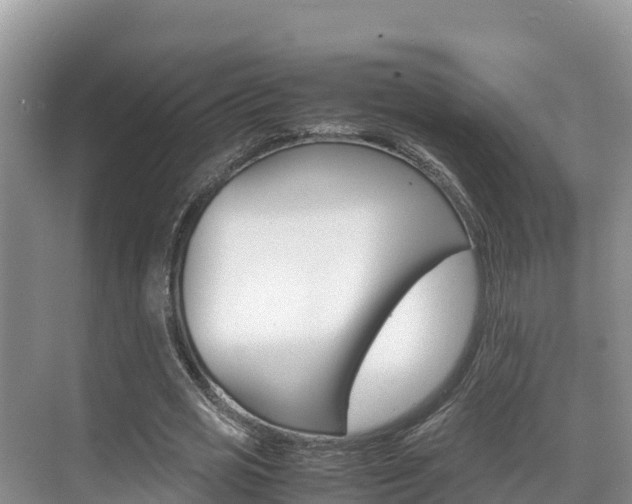 X0000070370725200606090825