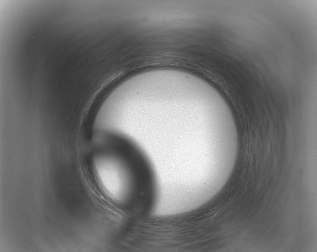 X0000070370731200606090825