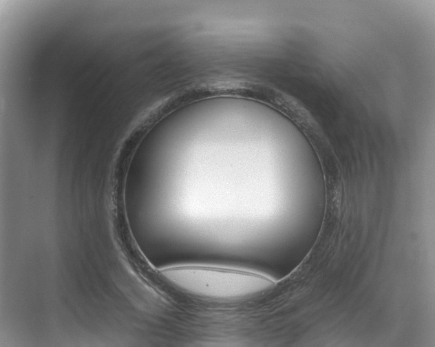 X0000070370732200606090825