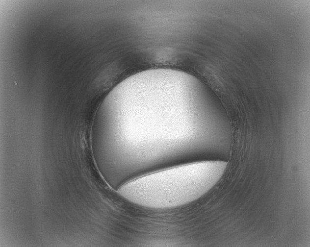 X0000070370746200606090825