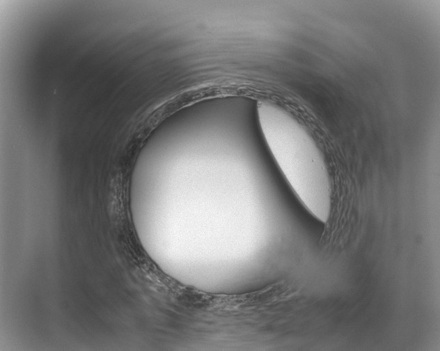 X0000070370773200606090825