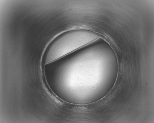 X0000070370784200606090824