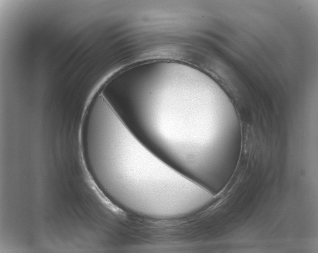X0000070370796200606090824