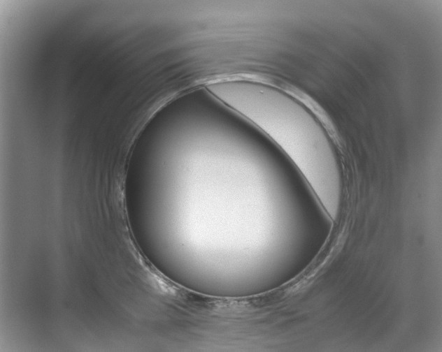 X0000070370809200606090824