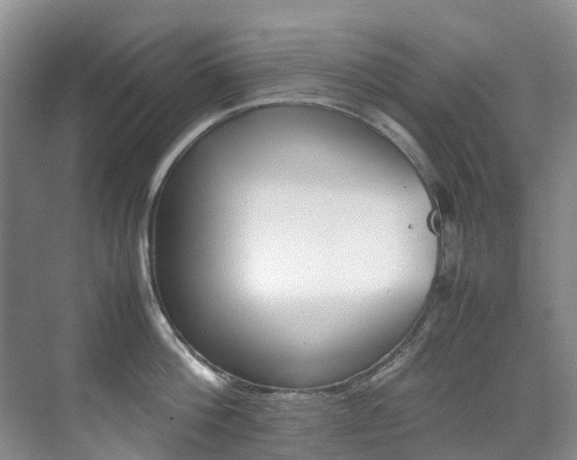 X0000070370812200606090824