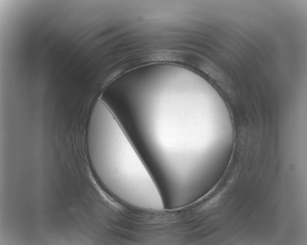 X0000070370841200606090823
