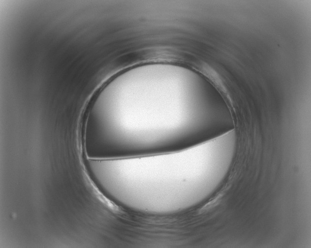 X0000070370843200606090823