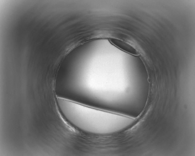 X0000070370849200606090824