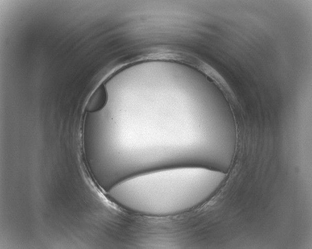 X0000070370852200606090824