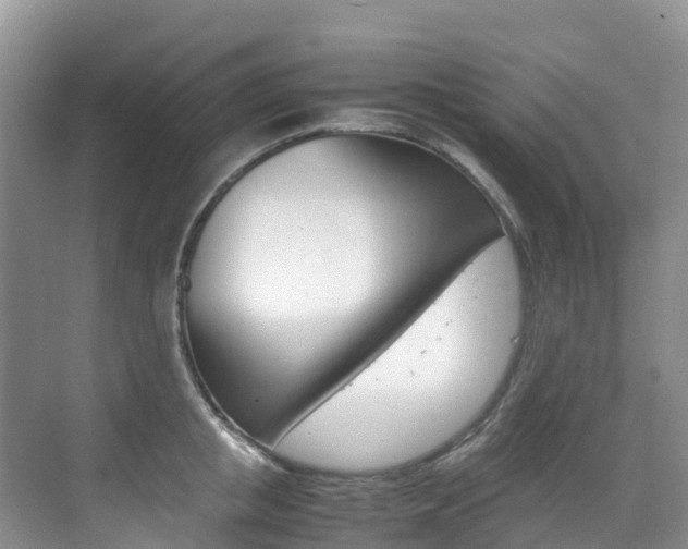 X0000070370853200606090824