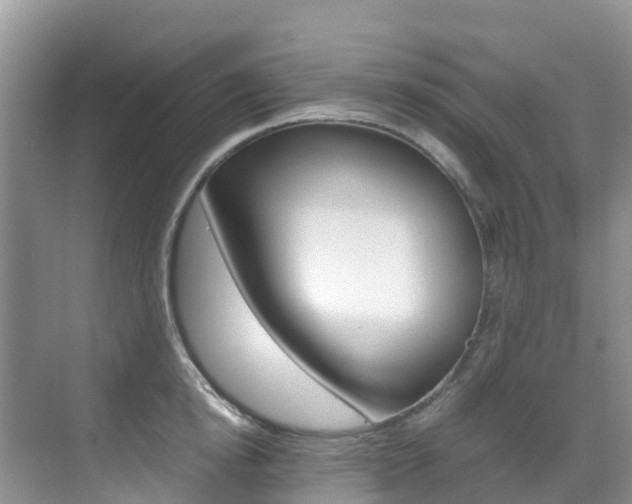 X0000070370854200606090824