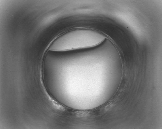 X0000070370861200606090824